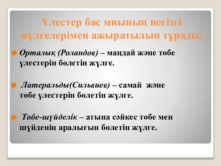 Үлестер бас миының негізгі жүлгелерімен ажыратылып тұрады: Орталық (Роландов) – маңдай