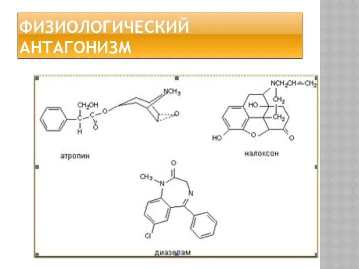 ФИЗИОЛОГИЧЕСКИЙ АНТАГОНИЗМ