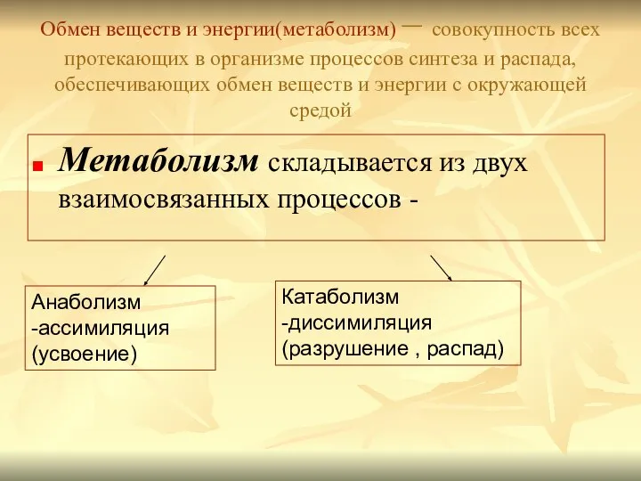 Обмен веществ и энергии(метаболизм) – совокупность всех протекающих в организме процессов