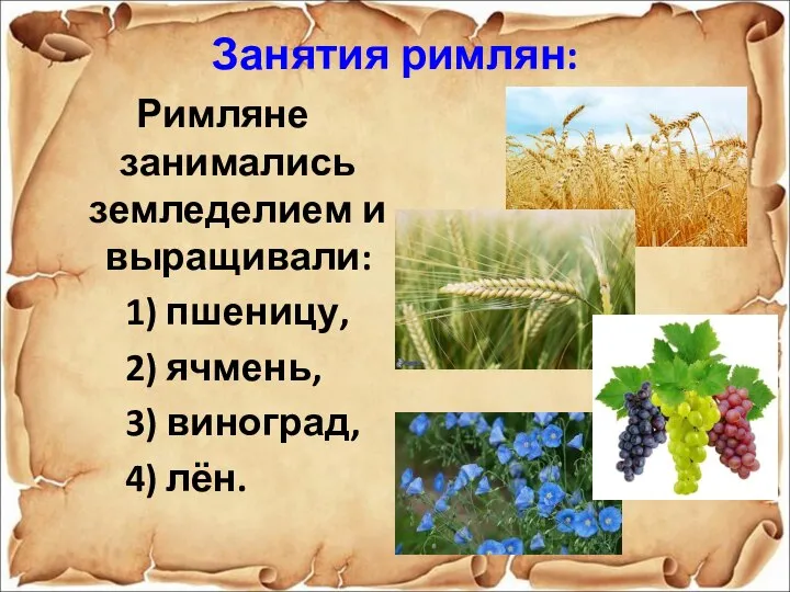 Занятия римлян: Римляне занимались земледелием и выращивали: 1) пшеницу, 2) ячмень, 3) виноград, 4) лён.