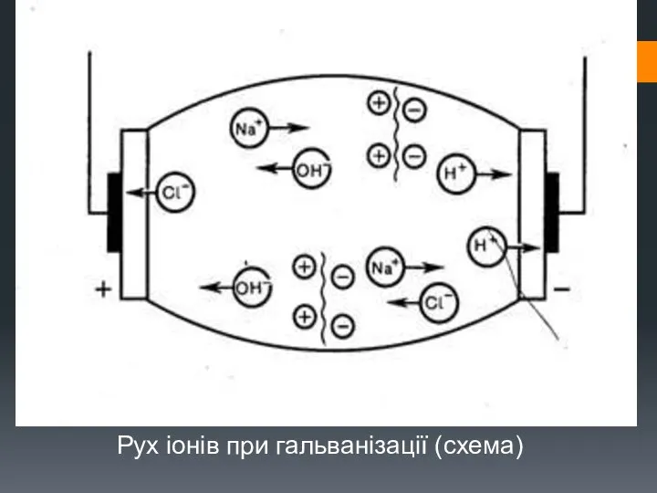 Рух іонів при гальванізації (схема)