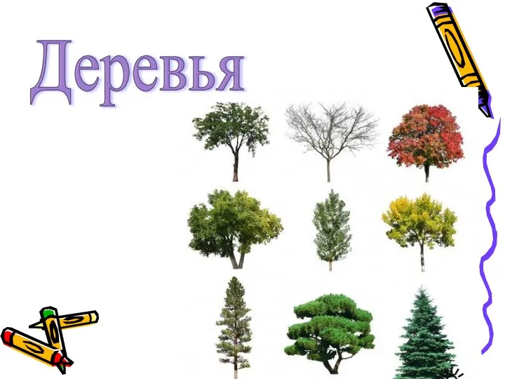 Деревья