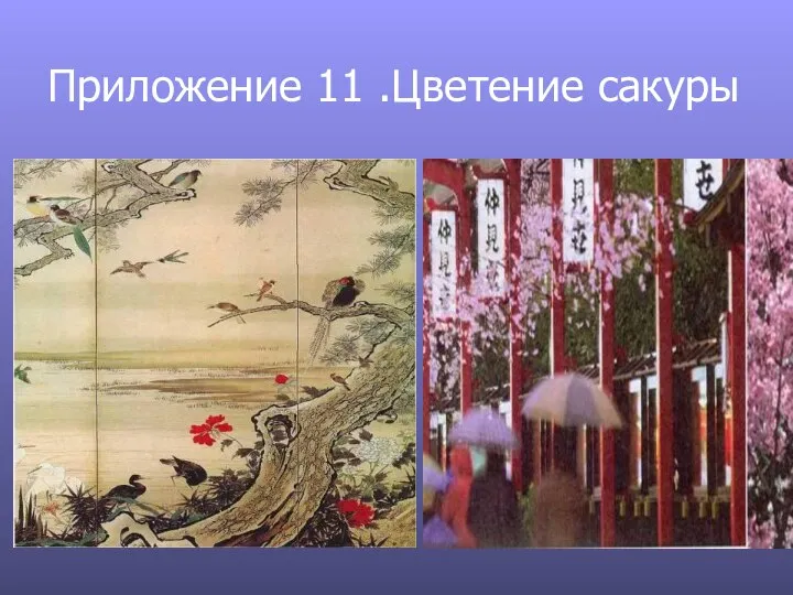 Приложение 11 .Цветение сакуры