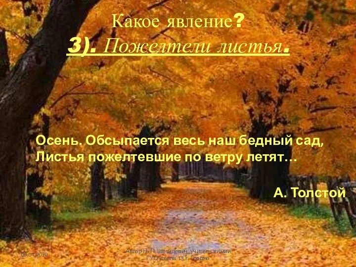 Какое явление? 3). Пожелтели листья. Осень. Обсыпается весь наш бедный сад,