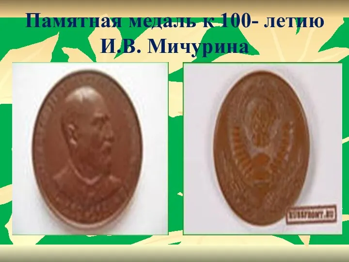 Памятная медаль к 100- летию И.В. Мичурина