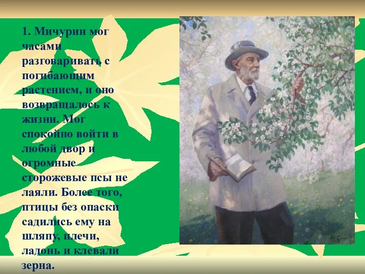 1. Мичурин мог часами разговаривать с погибающим растением, и оно возвращалось