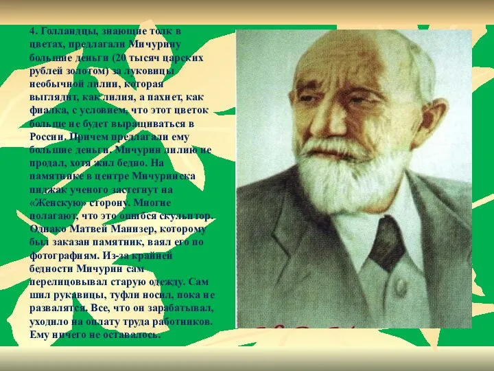 4. Голландцы, знающие толк в цветах, предлагали Мичурину большие деньги (20