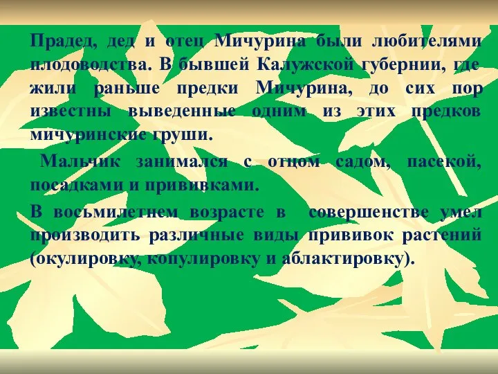 Прадед, дед и отец Мичурина были любителями плодоводства. В бывшей Калужской