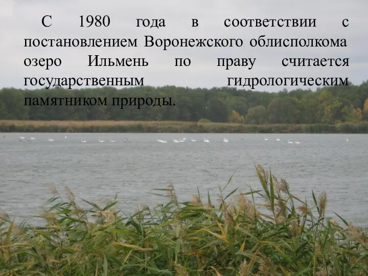 С 1980 года в соответствии с постановлением Воронежского облисполкома озеро Ильмень