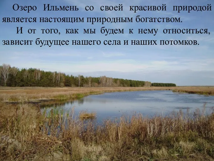 Озеро Ильмень со своей красивой природой является настоящим природным богатством. И