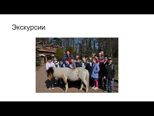 Экскурсии