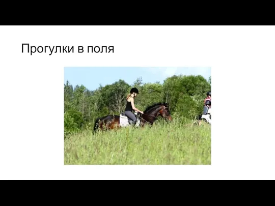 Прогулки в поля