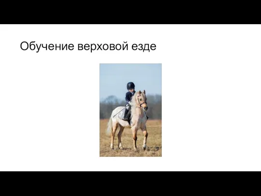 Обучение верховой езде