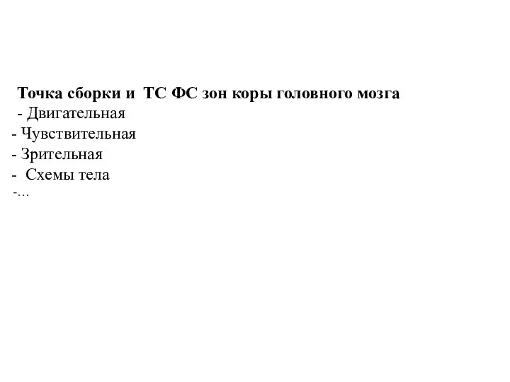 Точка сборки и ТС ФС зон коры головного мозга - Двигательная Чувствительная Зрительная Схемы тела …