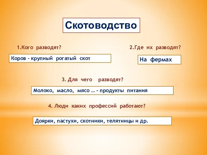 Скотоводство 1.Кого разводят? 2.Где их разводят? 3. Для чего разводят? 4.