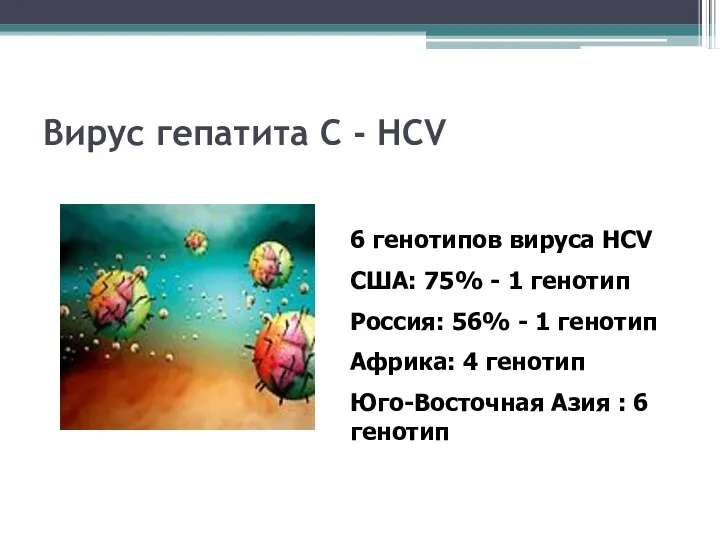 6 генотипов вируса HCV США: 75% - 1 генотип Россия: 56%