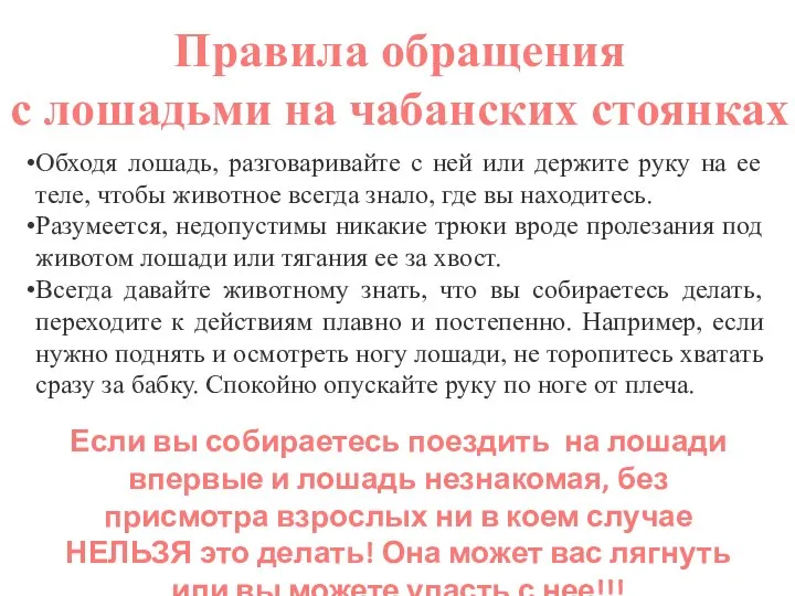 Обходя лошадь, разговаривайте с ней или держите руку на ее теле,