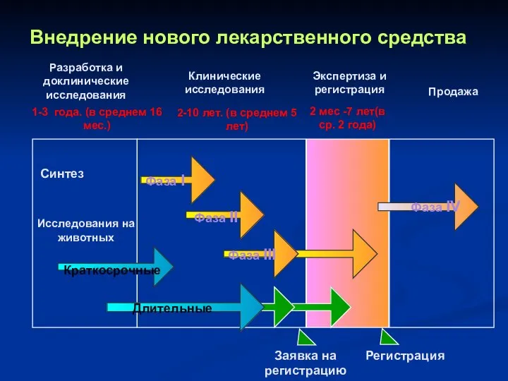 Разработка и доклинические исследования Клинические исследования Экспертиза и регистрация Продажа Фаза