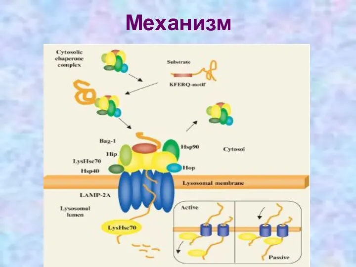 Механизм