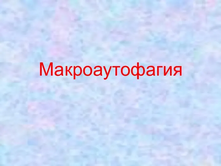 Макроаутофагия