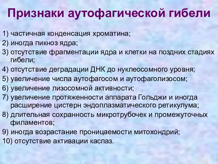 Признаки аутофагической гибели 1) частичная конденсация хроматина; 2) иногда пикноз ядра;