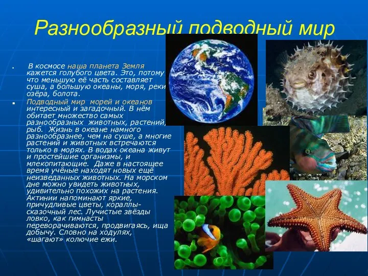 Разнообразный подводный мир В космосе наша планета Земля кажется голубого цвета.