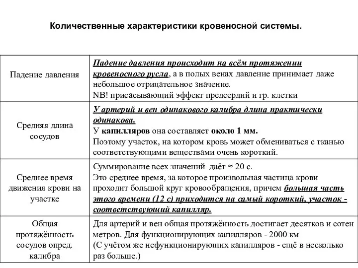 Количественные характеристики кровеносной системы.