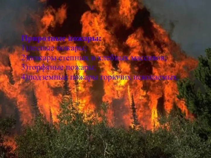 Природные пожары: 1)лесные пожары; 2)пожары степных и хлебных массивов; 3)торфяные пожары; 4)подземные пожары горючих ископаемых.