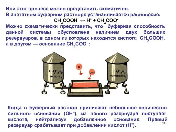 Или этот процесс можно представить схематично. В ацетатном буферном растворе устанавливается