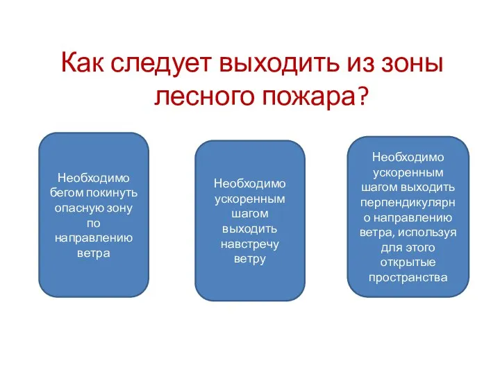 Как следует выходить из зоны лесного пожара? Необходимо ускоренным шагом выходить