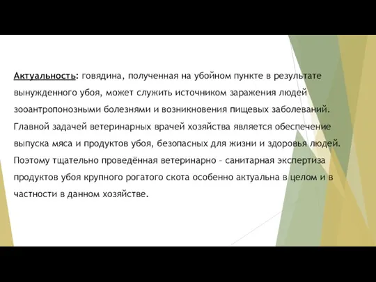 Актуальность: говядина, полученная на убойном пункте в результате вынужденного убоя, может