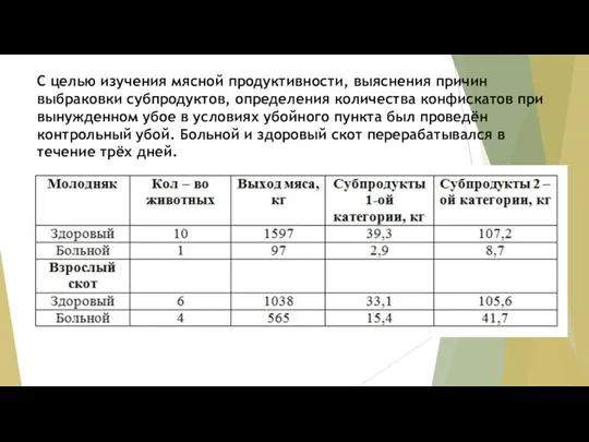 С целью изучения мясной продуктивности, выяснения причин выбраковки субпродуктов, определения количества