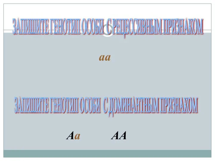 ЗАПИШИТЕ ГЕНОТИП ОСОБИ С РЕЦЕССИВНЫМ ПРИЗНАКОМ ЗАПИШИТЕ ГЕНОТИП ОСОБИ С ДОМИНАНТНЫМ ПРИЗНАКОМ aa Aa AA