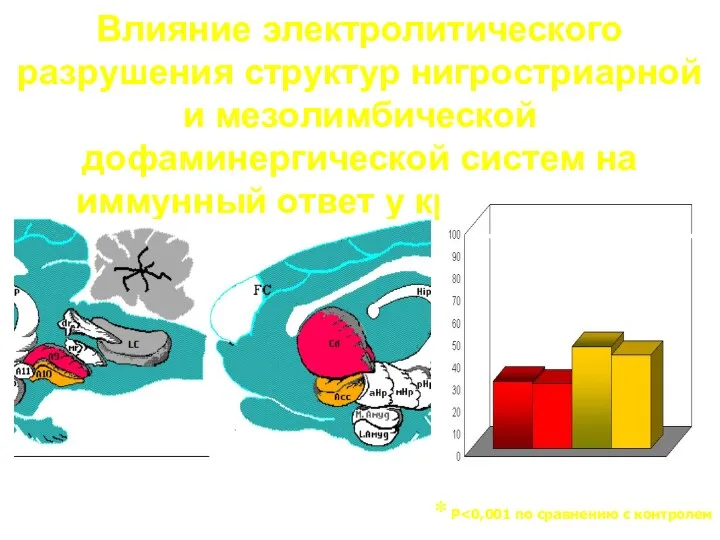 Влияние электролитического разрушения структур нигростриарной и мезолимбической дофаминергической систем на иммунный