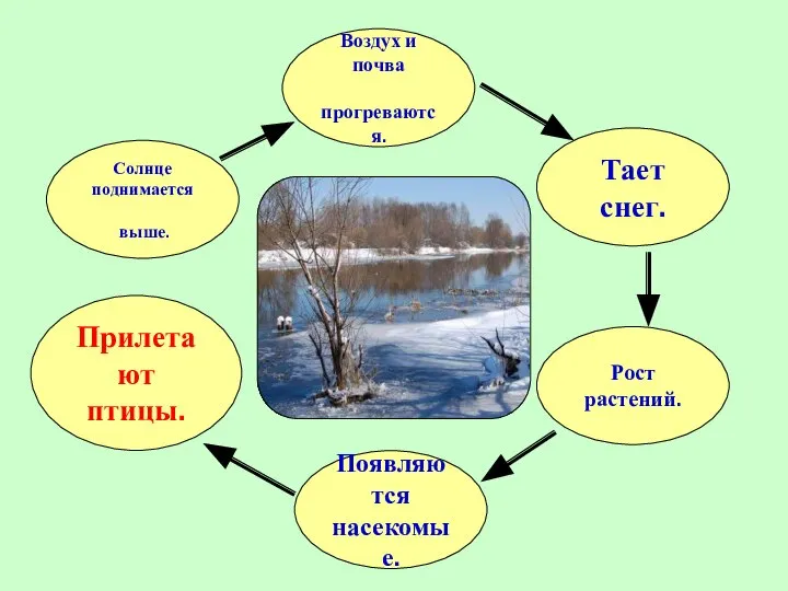 Солнце поднимается выше. Воздух и почва прогреваются. Появляются насекомые. Тает снег. Рост растений. Прилетают птицы.