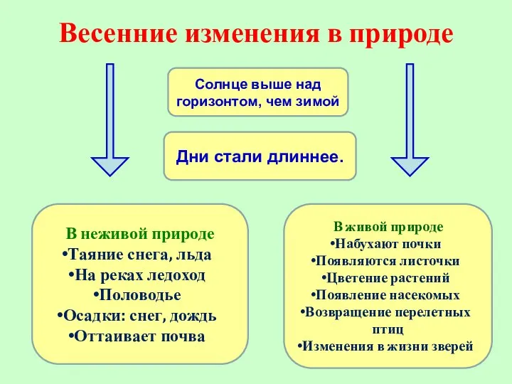 Весенние изменения в природе Солнце выше над горизонтом, чем зимой Дни