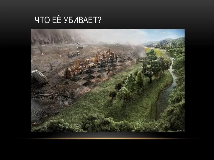 ЧТО ЕЁ УБИВАЕТ?