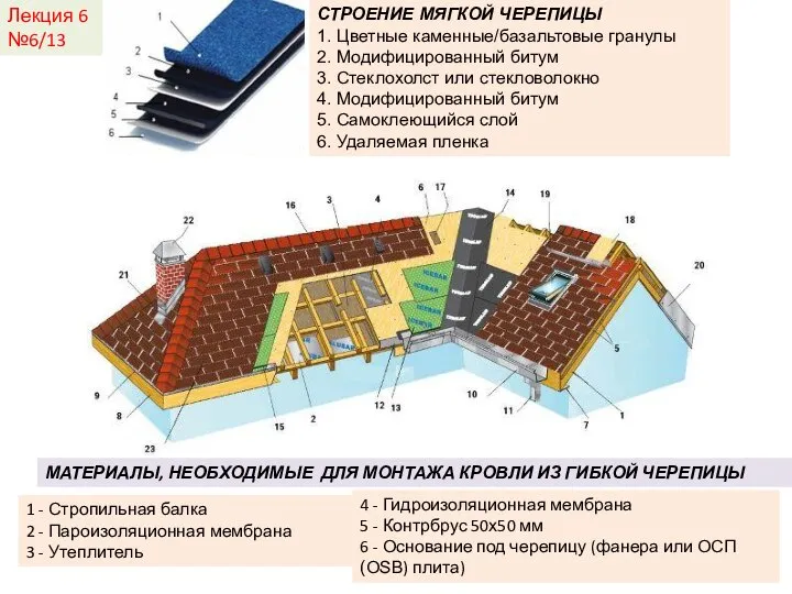 Лекция 6 №6/13 СТРОЕНИЕ МЯГКОЙ ЧЕРЕПИЦЫ 1. Цветные каменные/базальтовые гранулы 2.