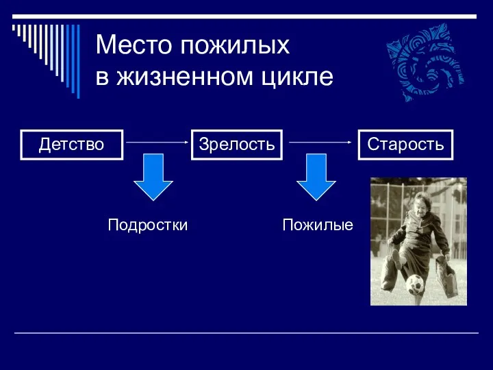 Место пожилых в жизненном цикле Детство Зрелость Старость Подростки Пожилые