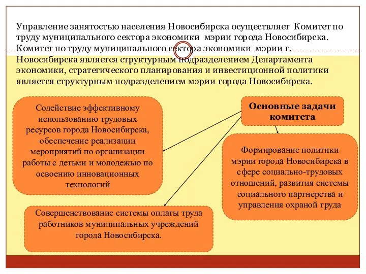 Управление занятостью населения Новосибирска осуществляет Комитет по труду муниципального сектора экономики