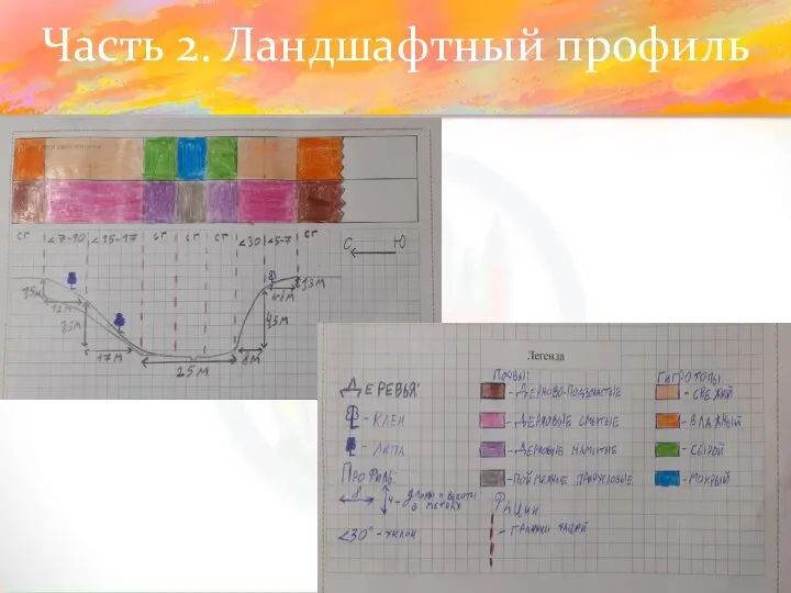 Часть 2. Ландшафтный профиль