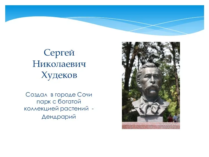 Создал в городе Сочи парк с богатой коллекцией растений - Дендрарий Сергей Николаевич Худеков