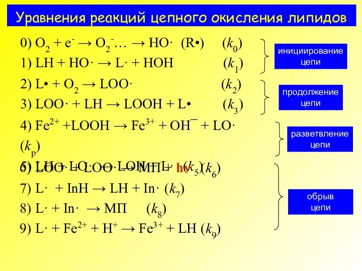 Уравнения реакций цепного окисления липидов