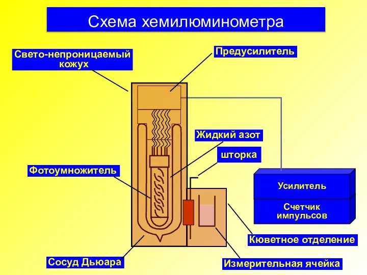 Схема хемилюминометра