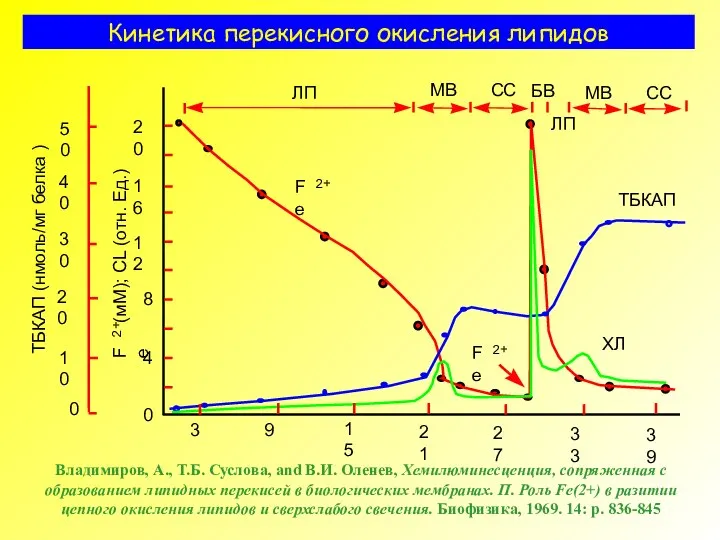 Кинетика перекисного окисления липидов Владимиров, А., Т.Б. Суслова, and В.И. Оленев,