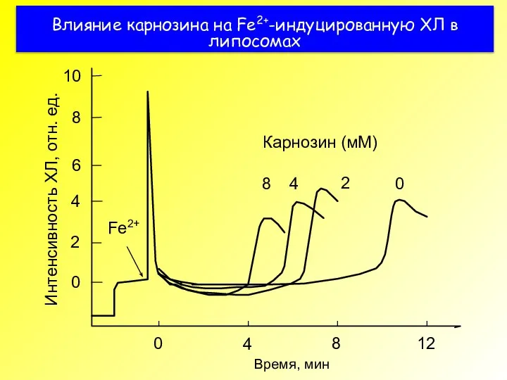 Влияние карнозина на Fe2+-индуцированную ХЛ в липосомах