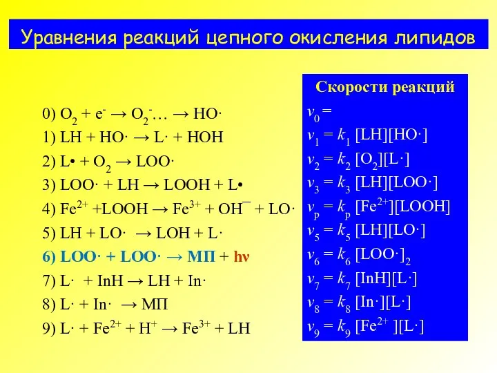 Уравнения реакций цепного окисления липидов