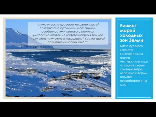 Климат морей холодных зон Земли Мягче сурового климата континентов, но низкие