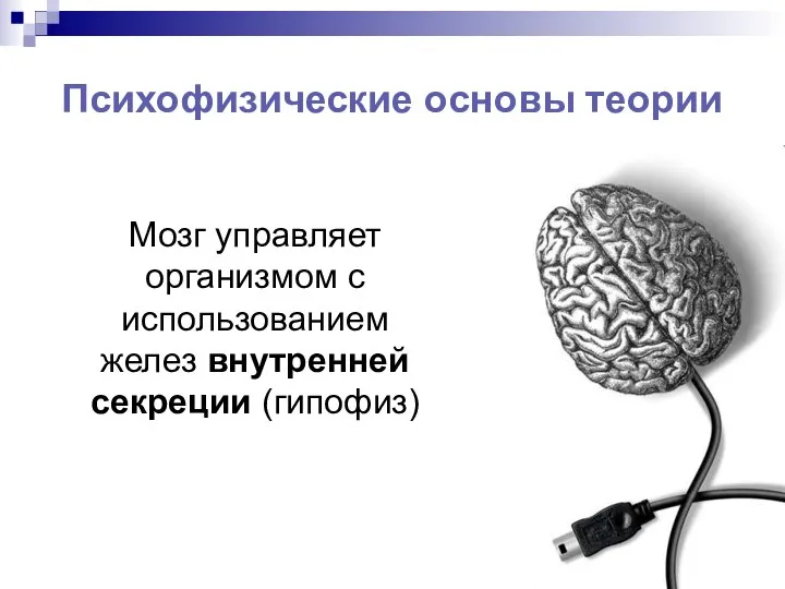 Психофизические основы теории Мозг управляет организмом с использованием желез внутренней секреции (гипофиз)