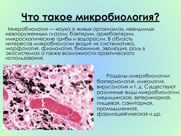 Что такое микробиология? Микробиология — наука о живых организмах, невидимых невооруженным